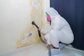 Best Forensic Mold Investigation  in Ransomville, NY